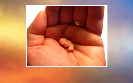 Our Beginning - unborn baby, macro, photo, hand