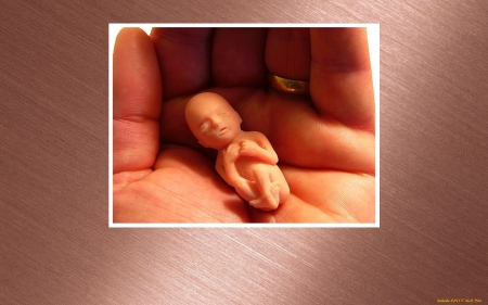 I Was So Small Too - macro, hand, unborn baby, photo