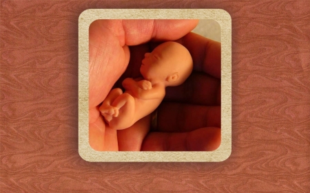 Defend Life! - hand, macro, orange, photo, unborn baby, life