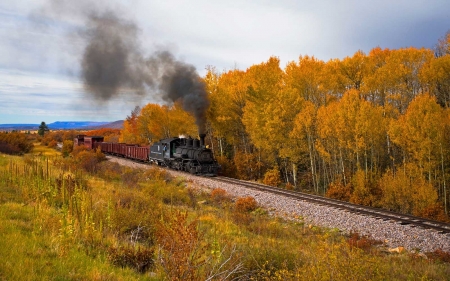 Autumn Train - trenul, lin, merge, toamnei