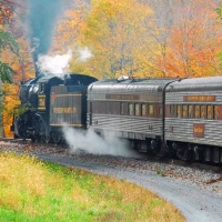 Fall Foliage Train