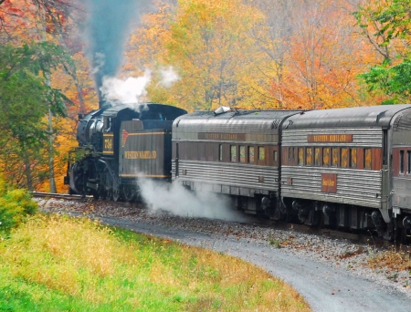 Fall Foliage Train - lin, sine, toamna, tren