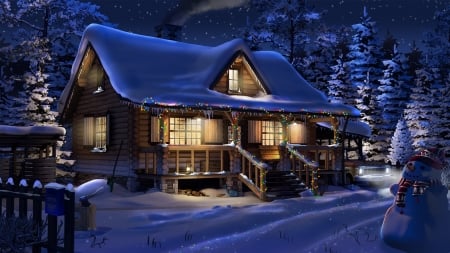 Christmas House - art, trees, snow, winter, house, lights