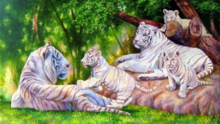 cats-pre-four-paint-forests-creative-summer-wildlife-love-wild-big-animals-family-white-paintings-seasons-draw-tigers-beauti - Summer, Tiger, Deutschland, Love, Familie