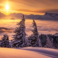 Foggy Mountain Landscape in Winter