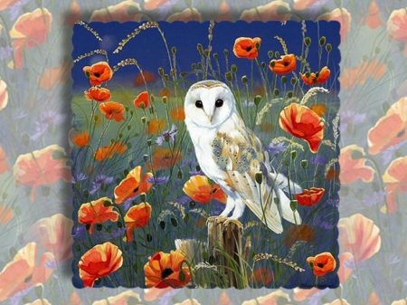 birds-animal-barn-painting-artwork-avian-bird-art-wildlife-owl-picture-of - Blau, Rot, Blume, Deutschland, Uhu