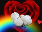 birds-design-rainbow-hearts-doves-viola-heart-tricolor-red-art-love-rose-images-bird-in-flight