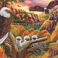 birds-forest-eagle-art-family-image-images