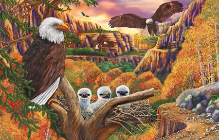 birds-forest-eagle-art-family-image-images