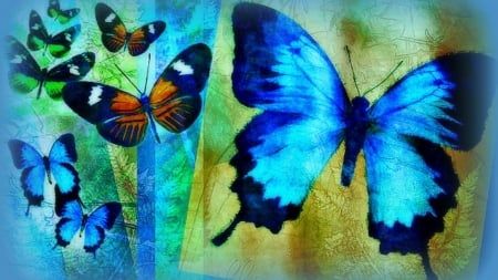 butterflies-papillon-blue-creative-beautiful-digital-colors-softness-designs-drawings-animals-butterfly-lovely-beauty-bleu - Blau, Butterfly, Braun, Deutschland