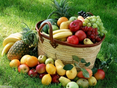 basket of goodness - nature, pineapple, autumn, pears, apples, fruit