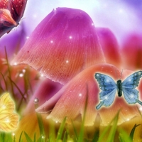 butterflies-sparkle-mushrooms-fantasy-digital-seasons-bright-designs-attractions-pre-grass-sparkling-creative-animals-sweet