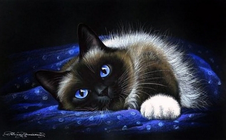 cats-animal-art-cat-mashova-photo-bowl - Blau, Decke, Cats, Deutschland