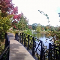 Mill Pond Bridge