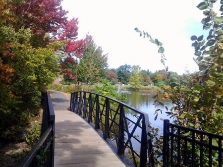 Mill Pond Bridge - new england, falltime, ponds, parks, water, connecticut, bridges