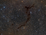 Barnard 150 Seahorse in Cepheus