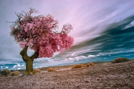 * - Tre, Coast, Clouds, Sky