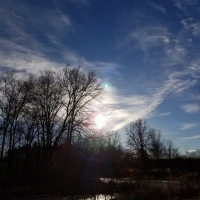 Night sky over Mill Pond