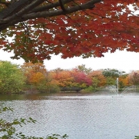 Fall Time at Mill Pond