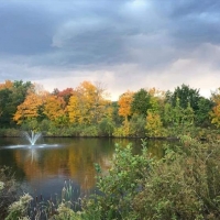 Mill Pond at Fall time