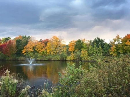 Mill Pond at Fall time - new england, autumn, park, fall time, connecticut