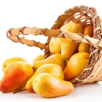 Pears on white background