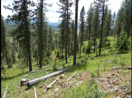 Landslide - nature, ranch, idaho, forests