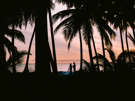 Wedding couple - love, silhouette, trees, couple, sunset