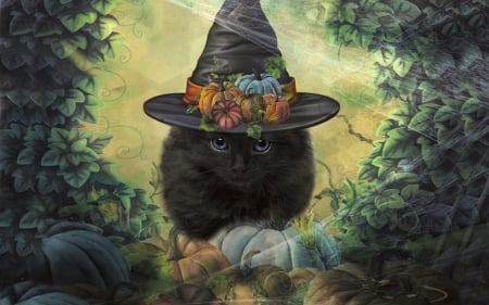 Pumpkin Patch Kitty - kitten, pumpkins, black cat, digital art, Halloween, Hat