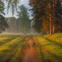 Country Road