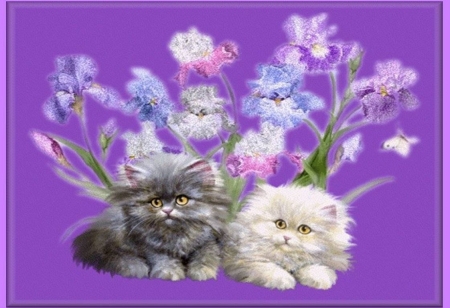 cats-art-flowers-cute-kittens-kitties-persian-cat-family - Blume, Cats, Deutschland, Grau