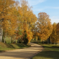 Autumn Road in Latvia