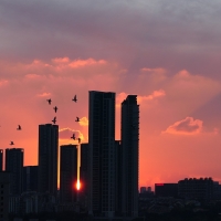 Sunset in Shenzhen, China