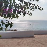 Promenade in Canary Islands