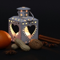 Lantern Nuts Pumpkin