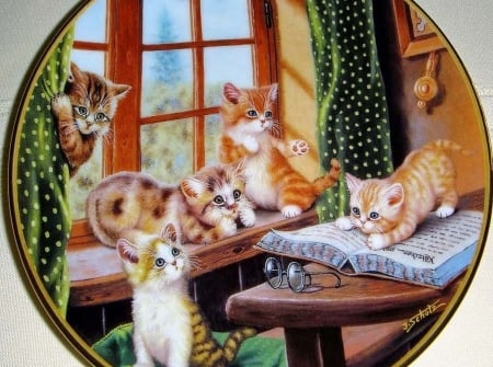 cats-art-kitten-cat-animal-jurgen-pictures-hd - Fenster, Cats, Deutschland, Freunde, Brille, Kardine, Tisch