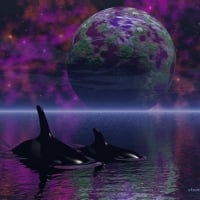 whales-art-beautiful-killer-ocean-fantasy-earth-abstract-digital-whale-gif-image