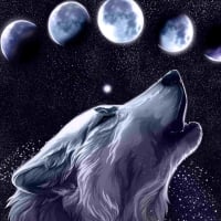 wallpapers-hd-desktop-and-rhwallupnet-in-moon-light-background-rhthewallpaperco-in-wolf-cool-animal-backgrounds-moon-light-d.jpg