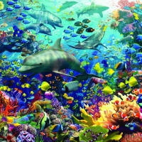 Sea Life Animals