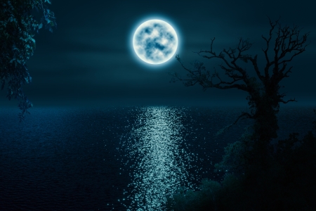 Full Moon Night - night, moonlight, lake, trees