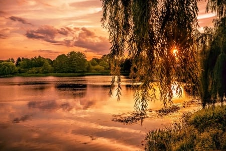 â¤ - lake, sumsut, evening, branches, trees