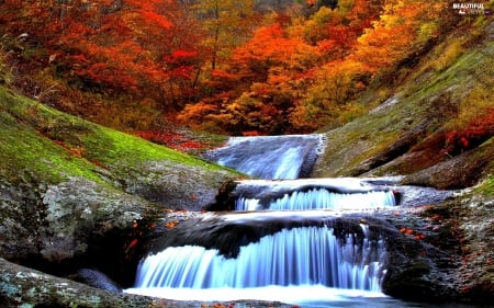 Lovely Autumn Waterfalls - leaves, water, trees, rocks