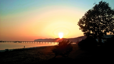 Sunrise at the Baltic Sea - beach, pier, sun, tree, germany