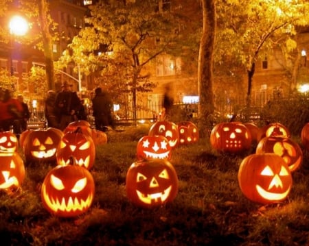 Jack o'Lantern - halloween, pumpkins, trees, night, lights