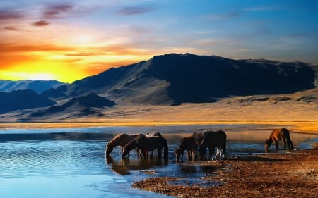 at the waterhole - sky, horse, water, mountain