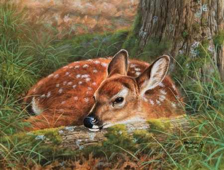 Deer - painting, art, abraham hunter, pictura, deer, caprioara