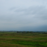 Pink lithuanian fields