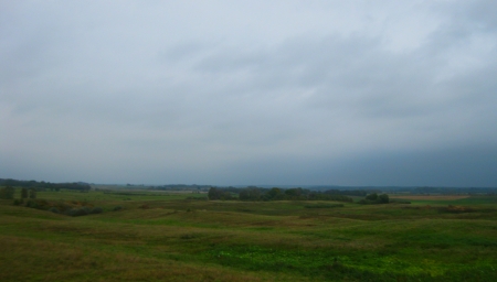 Pink lithuanian fields