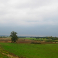 Lithuanian fields