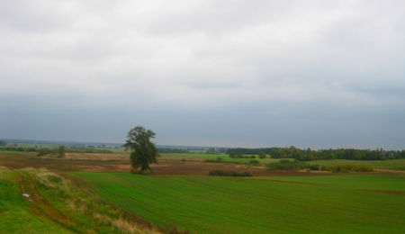 Lithuanian fields - beautiful fields, nice lithuanian fields, very beautiful, nice fields